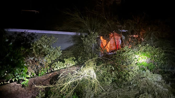 Seattle Area Windstorm