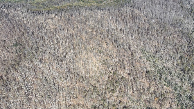 Damage from Hurricane Helene