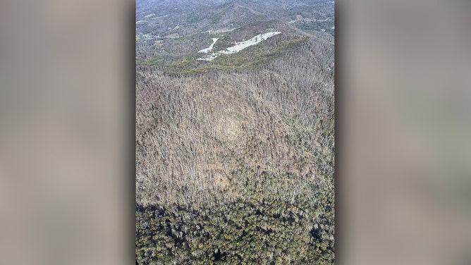 Damage from Hurricane Helene