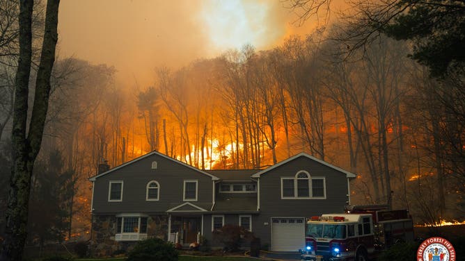 Photos show flames from the Craigmeur Lookout Wildfire in Rockaway, New Jersey close to a home.