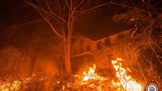 Photos show flames from the Craigmeur Lookout Wildfire in Rockaway, New Jersey close to a home.