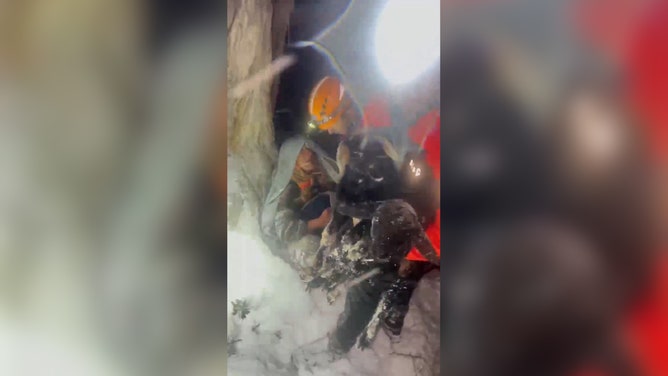 An elderly couple who went missing during heavy snow in Turkey were discovered at the foot of a tree hugging lambs for warmth, the Disaster and Emergency Management Presidency (AFAD) said.