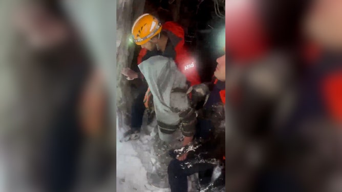An elderly couple who went missing during heavy snow in Turkey were discovered at the foot of a tree hugging lambs for warmth, the Disaster and Emergency Management Presidency (AFAD) said.