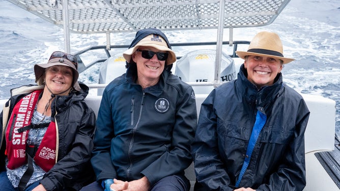 A lost emperor penguin, found thousands of miles from its Antarctic home on an Australian beach, was rescued and rehabilitated before being released back into the Southern Ocean.