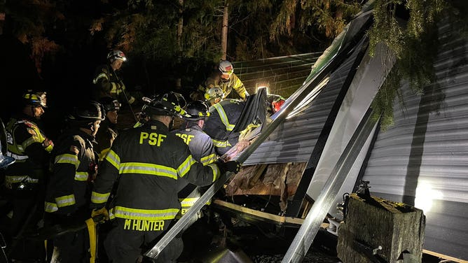 Seattle Area Windstorm