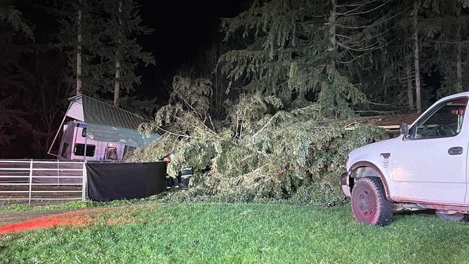 Seattle Area Windstorm