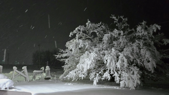 More than half a foot of snowfall in Binghamton, New York