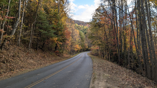 AFTER: Part of the Asheville corridor along the Blue Ridge Parkway with Helene storm damage removed.