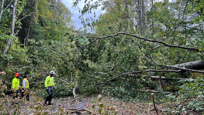 BEFORE: Part of the Asheville corridor along the Blue Ridge Parkway with storm damage caused by Helene.