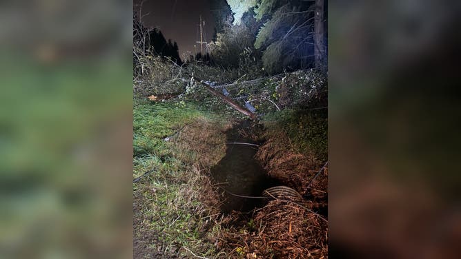 Seattle Area Windstorm