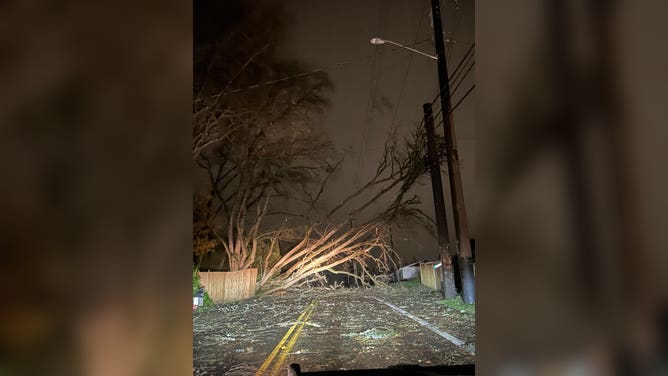 Seattle Area Windstorm