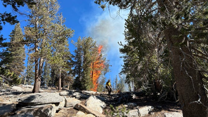 Firefighters manage Echo Fire in Yosemite National Park in October of 2024 (R. Mitchell/ NPS).