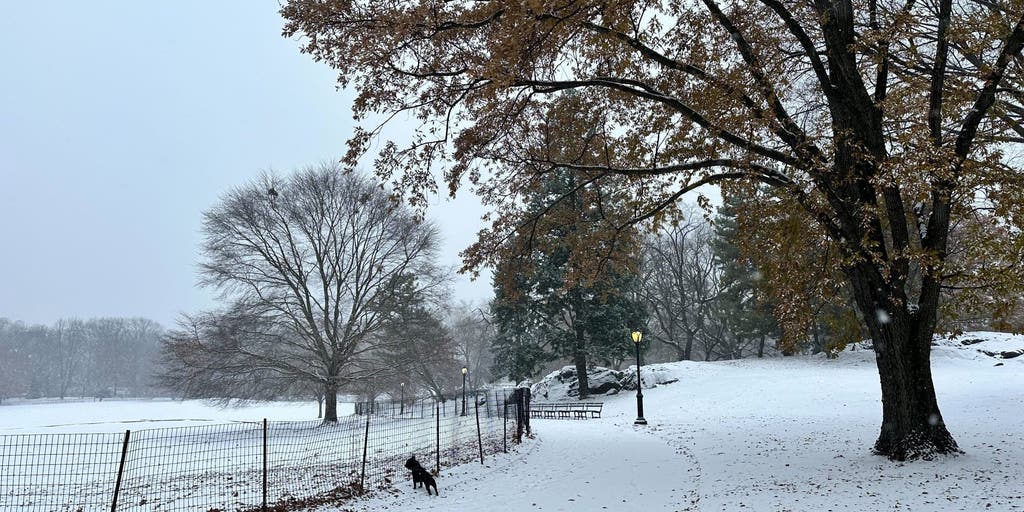 NYC's First White Christmas in 15 Years! A Magical Holiday Surprise