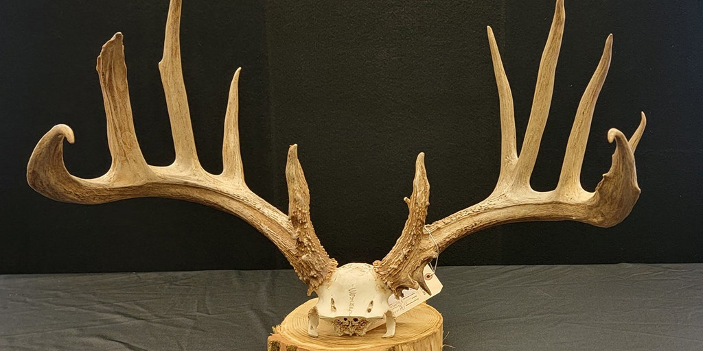 Ohio man hit with record-breaking fine after poaching trophy deer