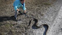 Hurricanes Helene, Milton may have spread dangerous invasive species across Southeast