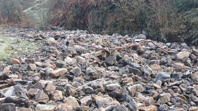 Some of the debris that was washed down by Storm Bert.