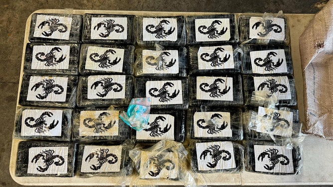 A Florida fisherman had a catch of a different kind when he hauled in a massive stash of cocaine worth over $1.7 million.
