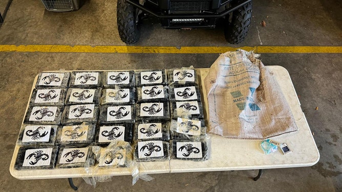 A Florida fisherman had a catch of a different kind when he hauled in a massive stash of cocaine worth over $1.7 million.
