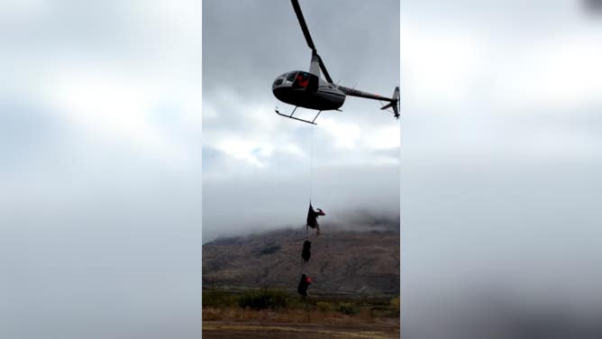 Bighorn sheep being airlifted by helicopter before heading to their new home in Franklin Mountains State Park in Texas. 