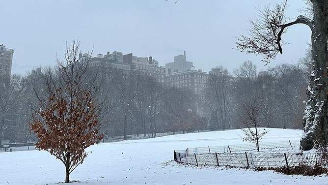 Is there anything more wonderful than snow in New York City? How about snow on Christmas Eve?! The Big Apple's snowiest Christmas Eve ever was 11.4" in 1912; that's the same year the Titanic sunk! The last white Christmas was in 2009.