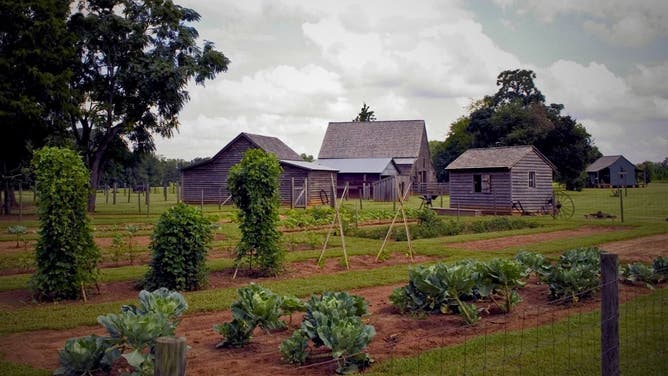 Vegetable garden and barns at Jimmy Carter's Boyhood Farm in the Jimmy Carter National Historical Park.