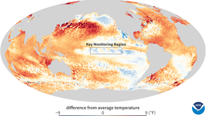 Global sea surface temperatures