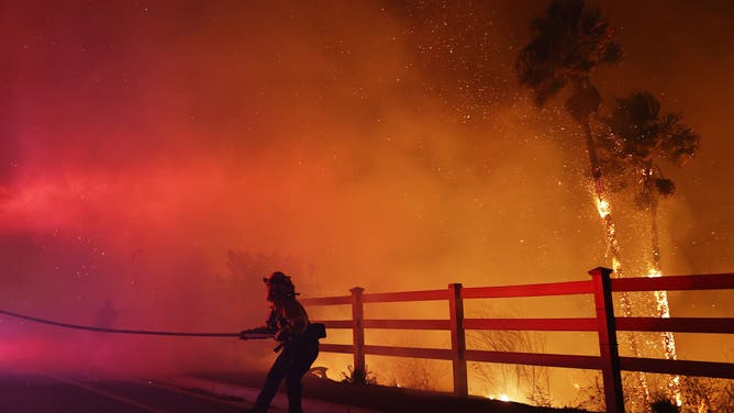 MALIBU, CALIFORNIA - DECEMBER 10: A firefighter pulls a water hose as the Franklin Fire burns palm trees near a building on December 10, 2024 on Malibu, California. The wildfire has scorched 1,800 acres near Pepperdine University prompting evacuations along the coast amid high winds with some structures destroyed. (Photo by Mario Tama/Getty Images)