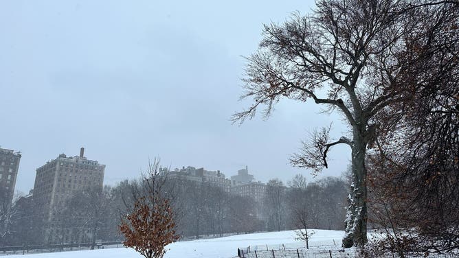 ニューヨークには雪より美しいものがあるでしょうか?クリスマスイブに雪はどうでしょうか？ビッグアップルの歴史の中で最も雪が降ったクリスマスイブは11.4年ぶりでした。" 1912年。タイタニック号も同じ年に沈没しました！前回のホワイトクリスマスは2009年でした。