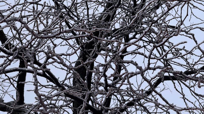 Freezing Raincoats Cedar Rapids, Iowa