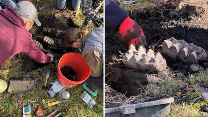 Mastodon jaw discovered in backyard of New York home.