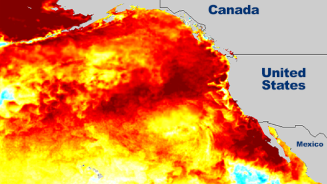 Water temperature anomalies from September 2014