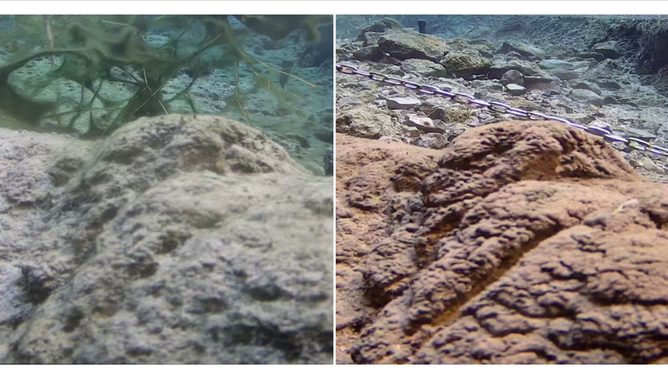 Underwater photos of Devils Hole before and after the seiche on Thursday.