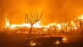 Arrest made in deadly Palisades Fire that destroyed over 6,800 buildings in California - Fox News