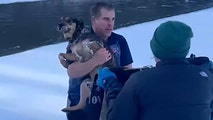 Vermont man jumps into icy river to save struggling dog from certain death: 'Forever be my hero'