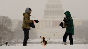 See it: Snow blankets Washington DC in capital's biggest snowstorm in years