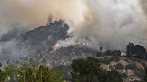 How did the Los Angeles-area wildfires rapidly spread?