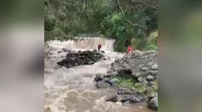 Watch: 3 girls rescued from raging Hawaii stream after getting stuck on outcropping