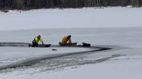 Video: Moose rescued after falling through ice in New York