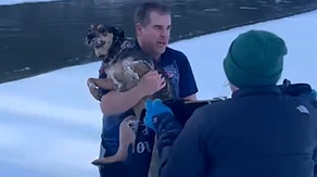 Vermont man jumps into icy river to save struggling dog from certain death: 'Forever be my hero'