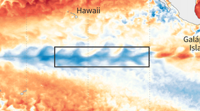 La Nina climate pattern officially arrives and is expected to persist through winter