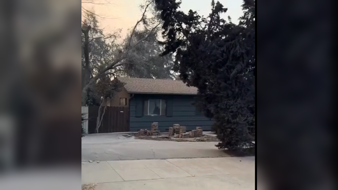 Altadena Man Astounded to See His House Is the Only One on His Block to Survive Fire