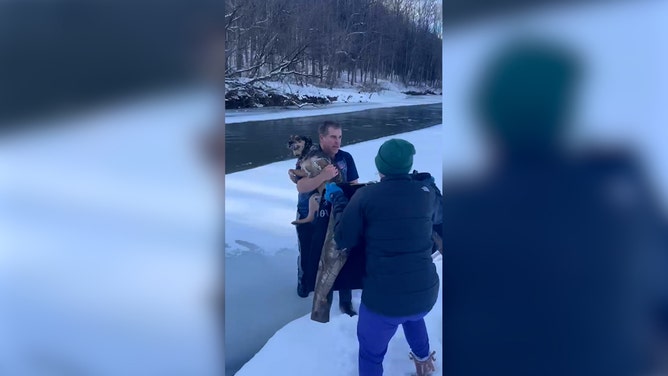 The snowy landscape of Berlin, Vermont, witnessed a heartwarming act of heroism when a local man braved the frigid Winooski River to rescue a struggling dog.