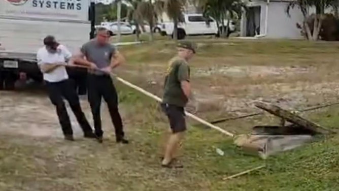 Things got interesting in a Florida neighborhood over the weekend after a monstrous alligator became trapped in a storm drain, triggering a frightening rescue operation.