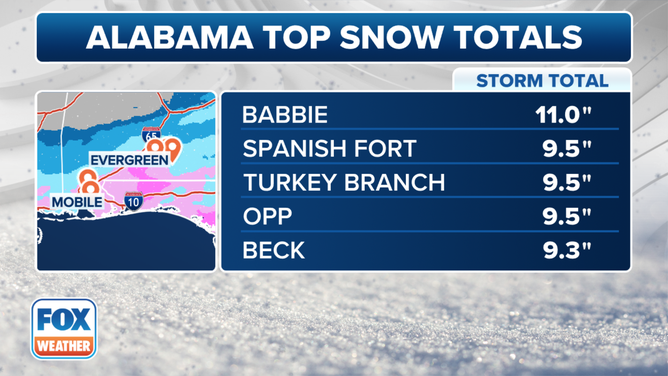 Alabama Snow Totals