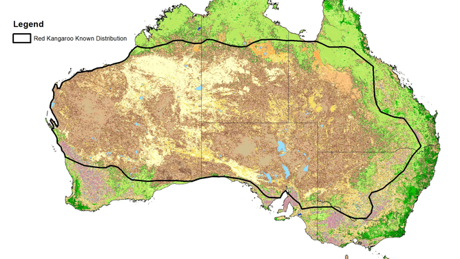 Map of red kangaroo territory. Red kangaroos are the largest species of kangaroo in Australia.