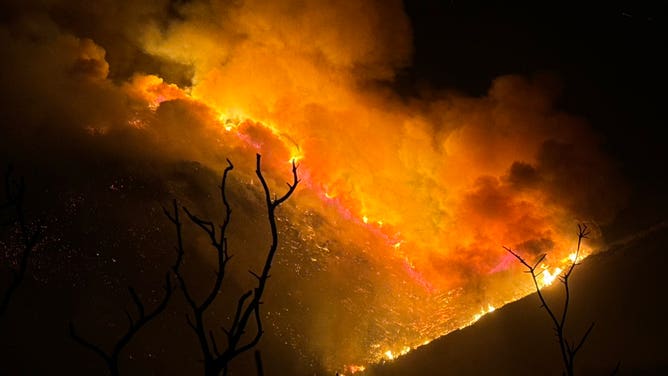 Photo of the Border 2 Fire in San Diego County.