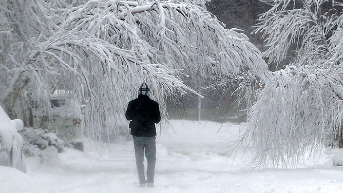 Snow-laden trees near 10th and Baltimore in Kansas City are seen, Tuesday, February 26, 2013, while the second major snowstorm hit the Kansas City metro in less than a week.