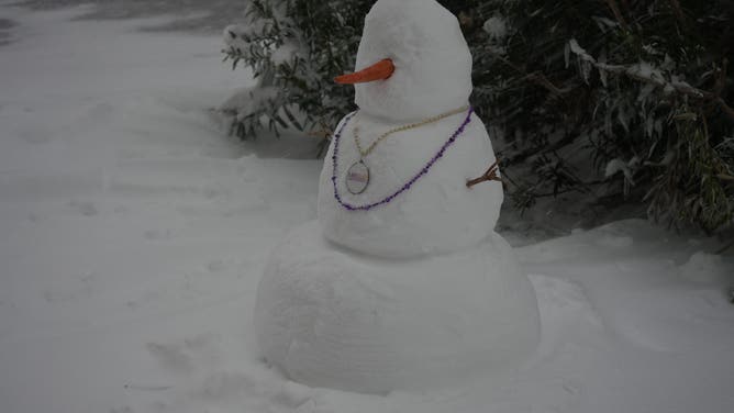 Snowman in New Orleans.