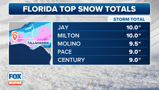 Florida Snow Totals