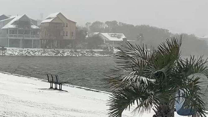 Snow covers a palm tree, the ground and homes in Galveston, Texas, on Jan. 21, 2025.